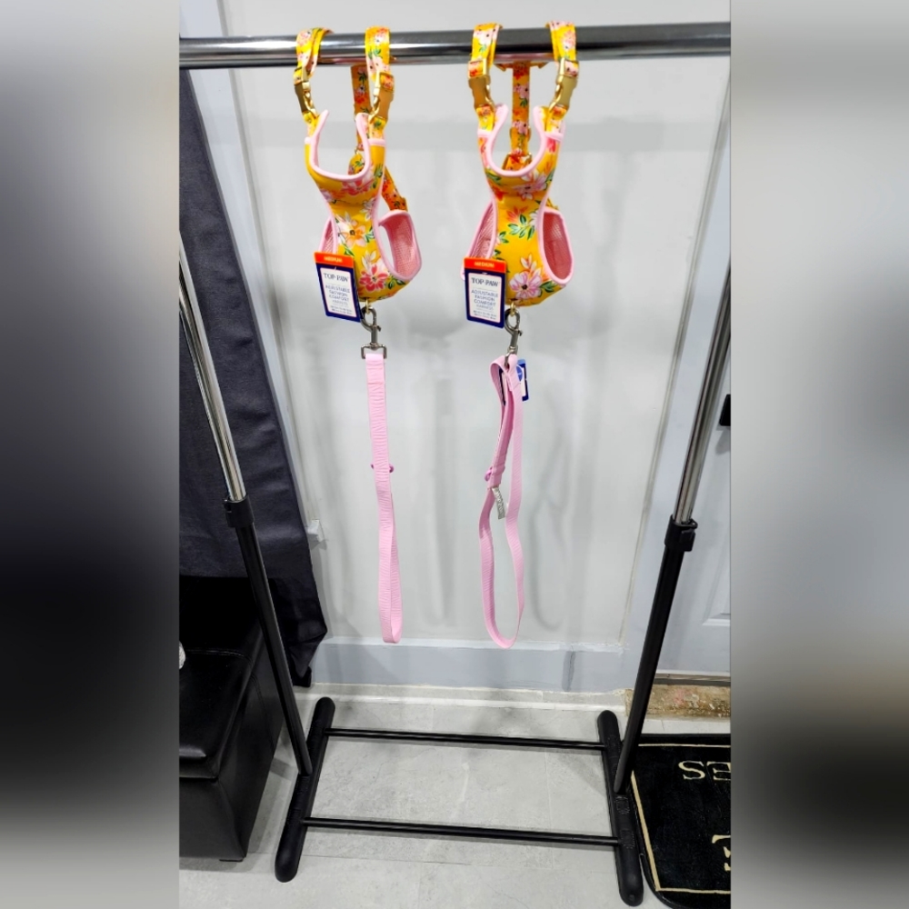 Harness and Leash